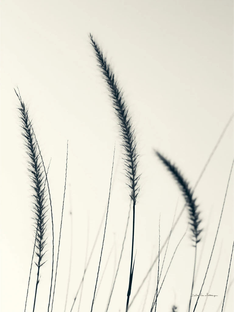 Field Grasses IV by Debra Van Swearingen