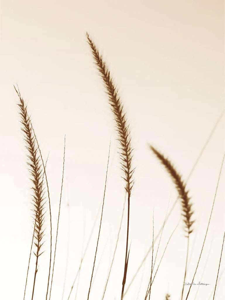 Field Grasses IV Sepia by Debra Van Swearingen