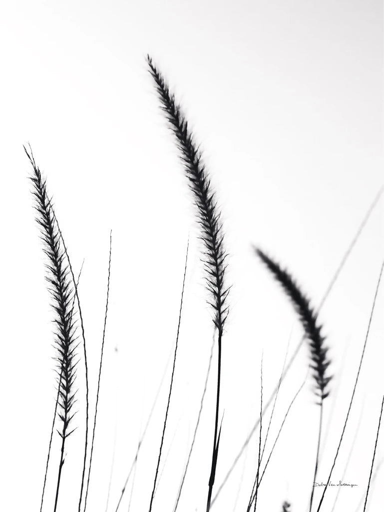 Field Grasses IV White by Debra Van Swearingen