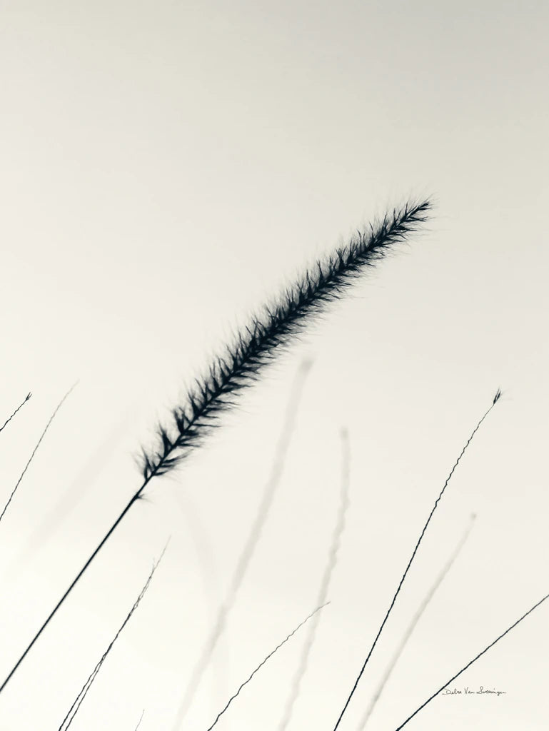 Field Grasses V by Debra Van Swearingen