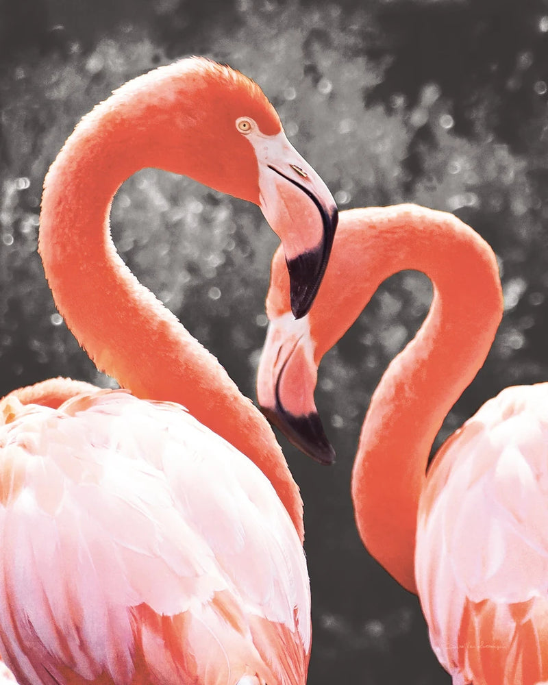 Flamingo II on BW by Debra Van Swearingen