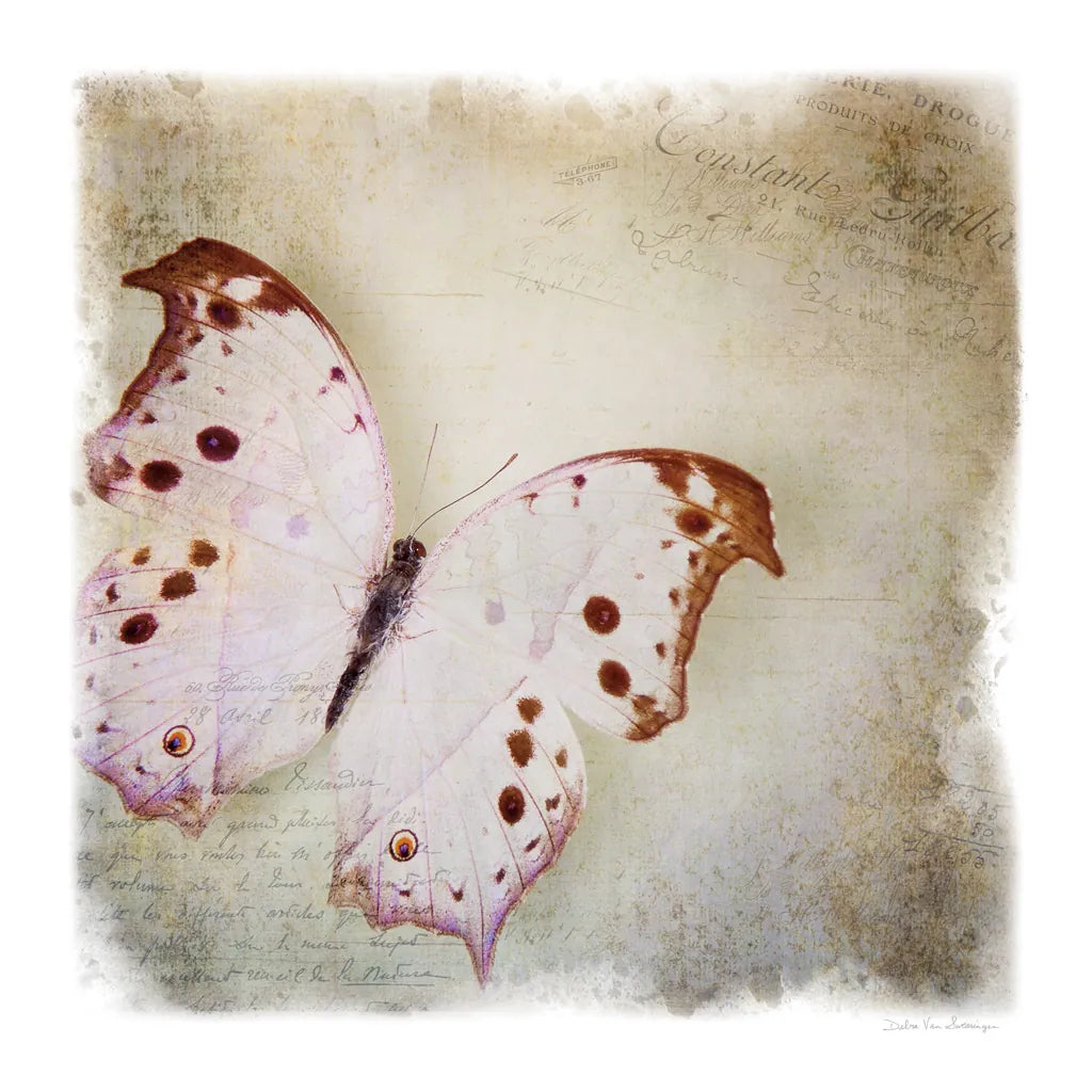 Floating Butterfly II by Debra Van Swearingen. SKU 25791a. Archival Giclee Fine art print for wall decor.