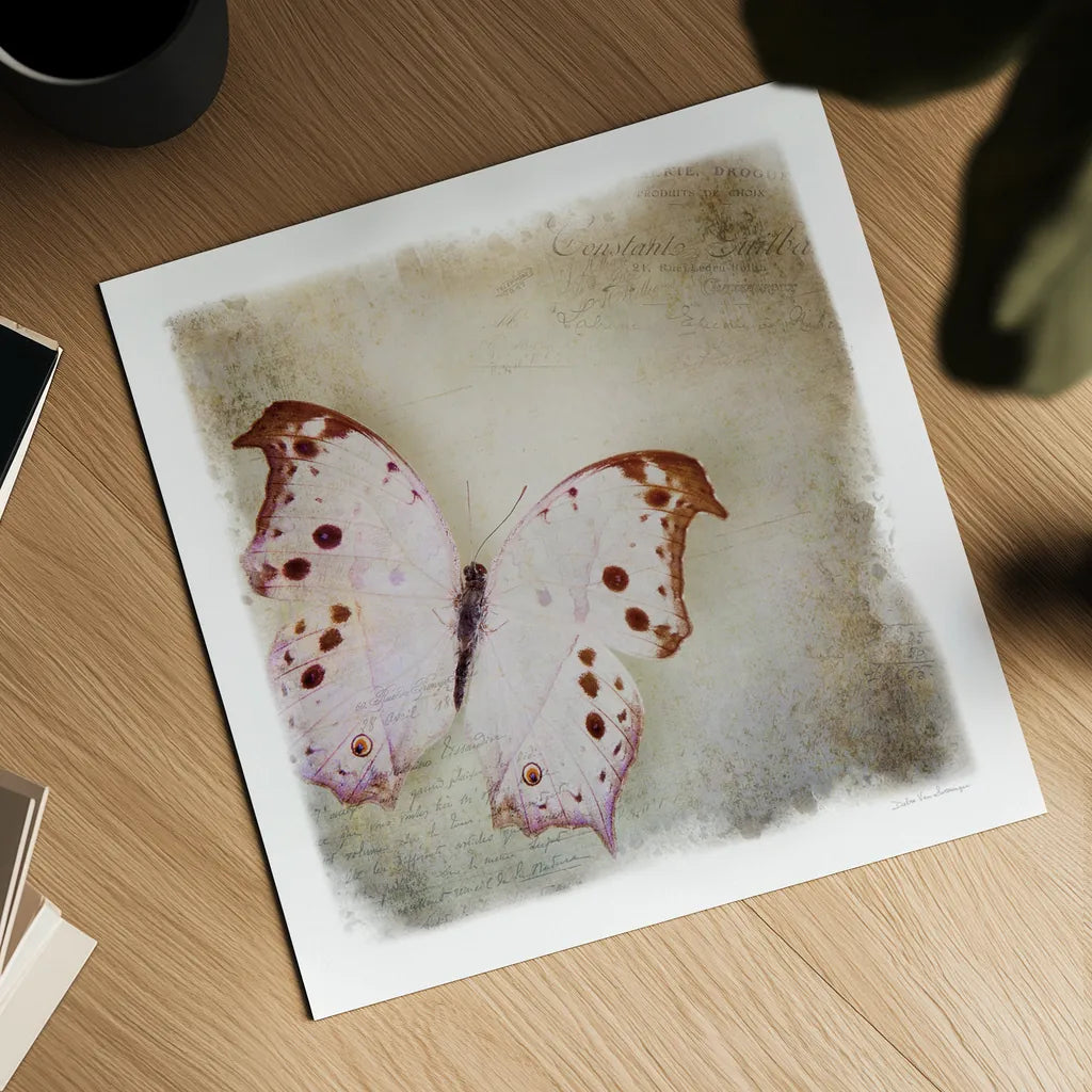 Floating Butterfly II by Debra Van Swearingen. Shown as a detailed flat fine art print, highlighting archival giclee quality. Available as an archival giclee rolled canvas, fine art paper, or poster print. SKU 25791a.