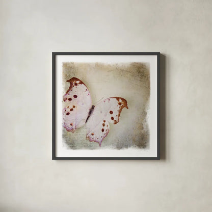 Floating Butterfly II by Debra Van Swearingen. Shown in a sleek black glass frame for a contemporary gallery look. Available as an archival giclee rolled canvas, fine art paper, or poster print. SKU 25791a.