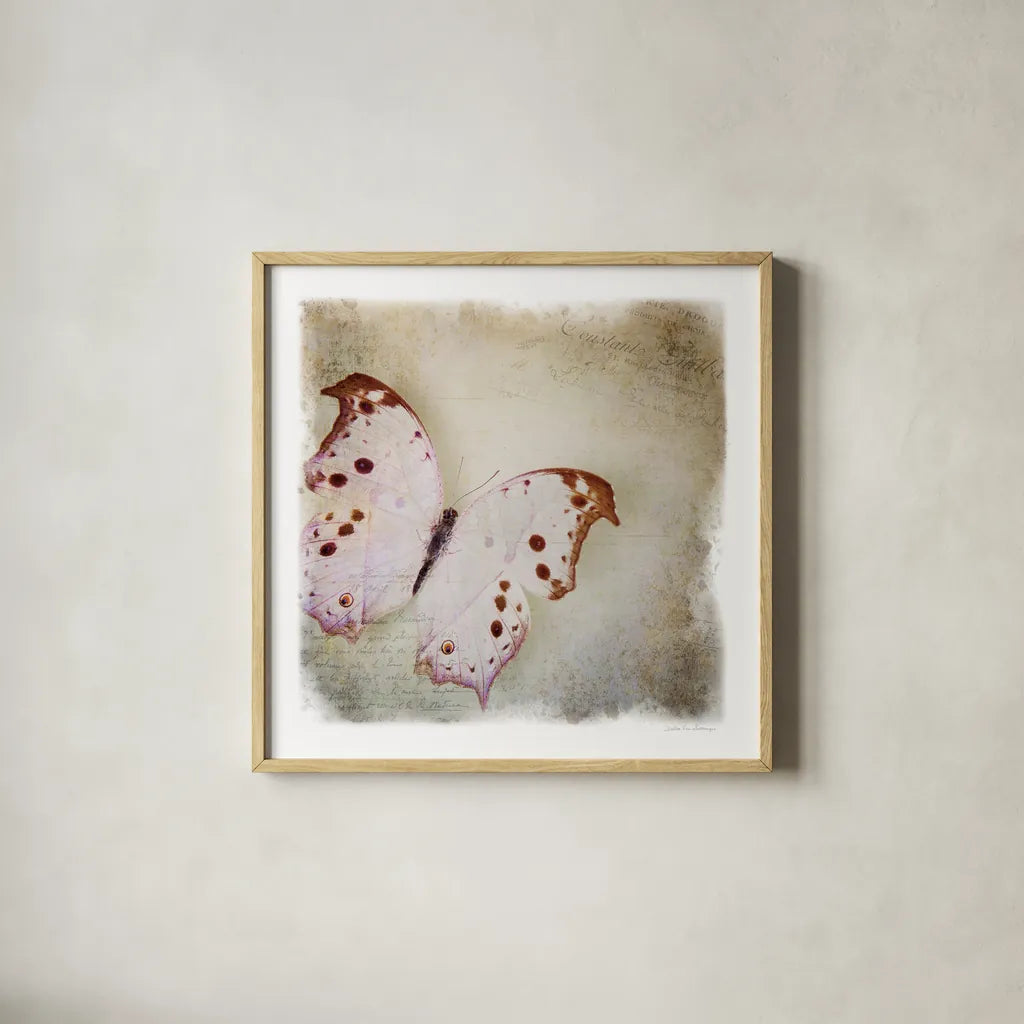 Floating Butterfly II by Debra Van Swearingen. Shown in a natural wood glass frame for a timeless modern aesthetic. Available as an archival giclee rolled canvas, fine art paper, or poster print. SKU 25791a.