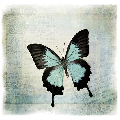 Floating Butterfly III by Debra Van Swearingen. SKU 25792a. Archival Giclee Fine art print for wall decor.