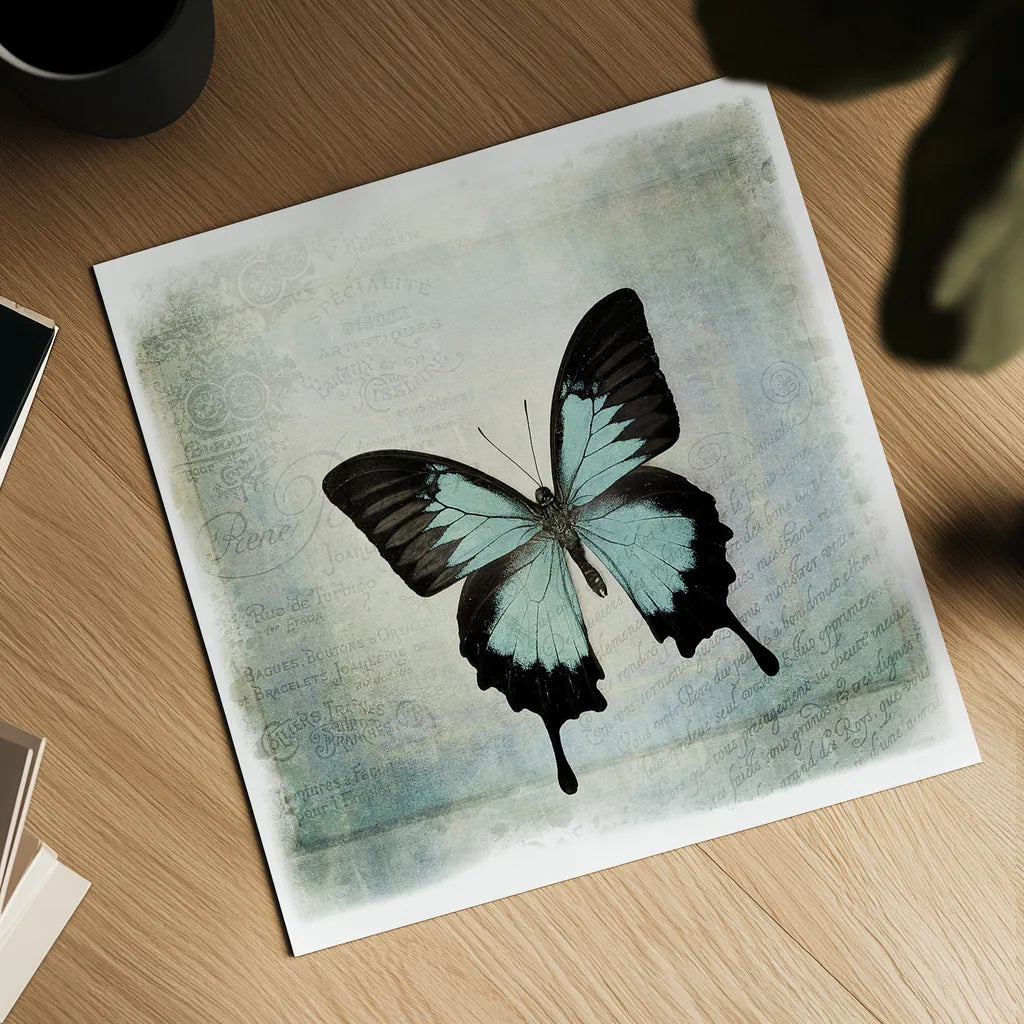 Floating Butterfly III by Debra Van Swearingen. Shown as a detailed flat fine art print, highlighting archival giclee quality. Available as an archival giclee rolled canvas, fine art paper, or poster print. SKU 25792a.