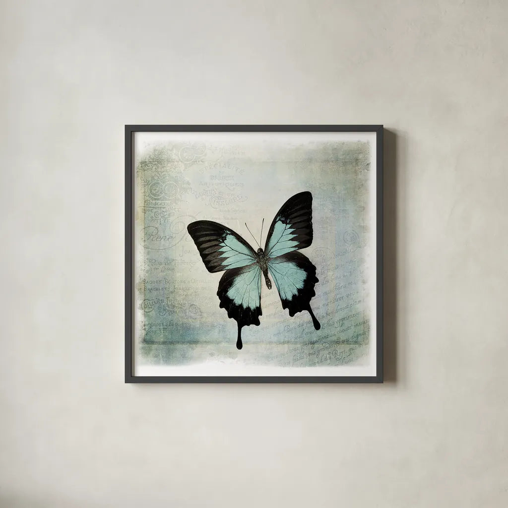Floating Butterfly III by Debra Van Swearingen. Shown in a sleek black glass frame for a contemporary gallery look. Available as an archival giclee rolled canvas, fine art paper, or poster print. SKU 25792a.