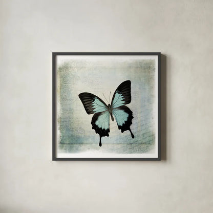 Floating Butterfly III by Debra Van Swearingen. Shown in a sleek black glass frame for a contemporary gallery look. Available as an archival giclee rolled canvas, fine art paper, or poster print. SKU 25792a.