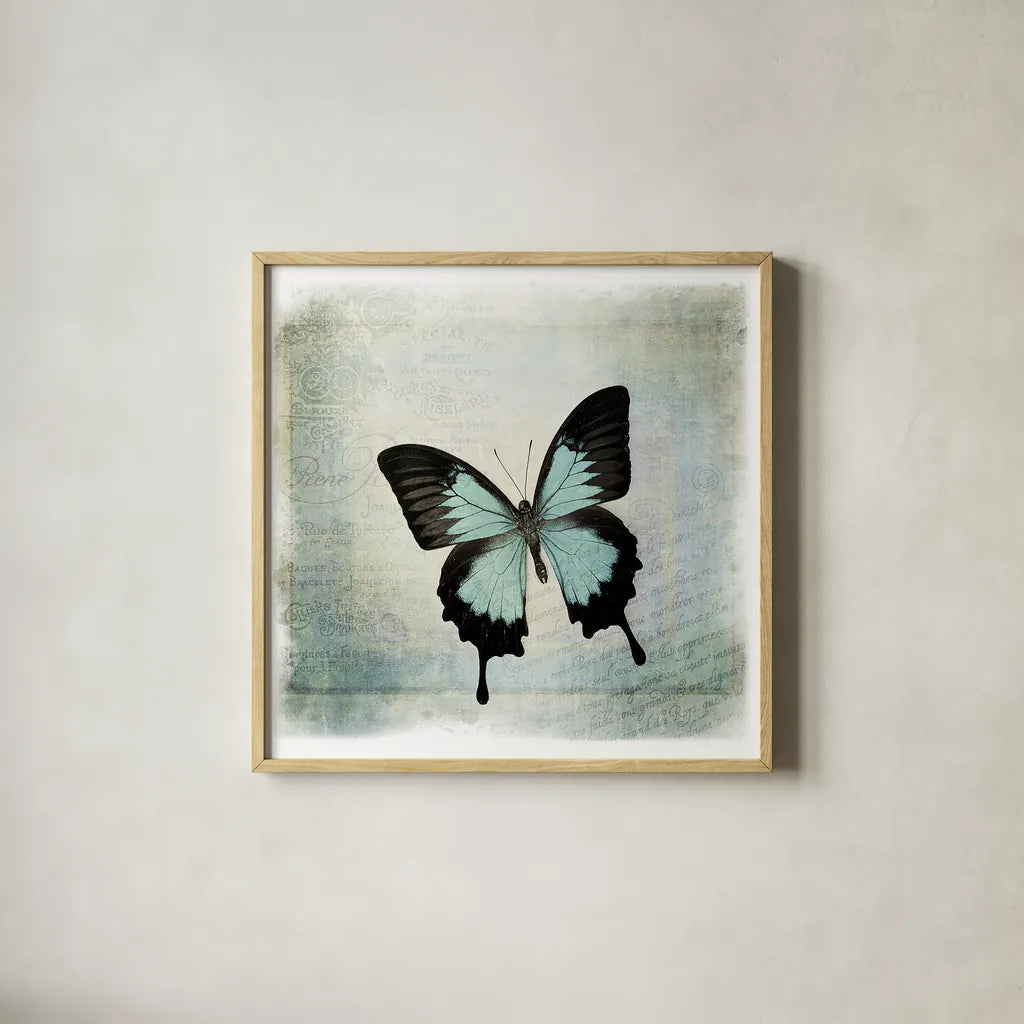 Floating Butterfly III by Debra Van Swearingen. Shown in a natural wood glass frame for a timeless modern aesthetic. Available as an archival giclee rolled canvas, fine art paper, or poster print. SKU 25792a.