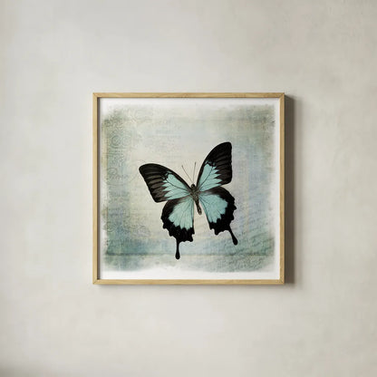 Floating Butterfly III by Debra Van Swearingen. Shown in a natural wood glass frame for a timeless modern aesthetic. Available as an archival giclee rolled canvas, fine art paper, or poster print. SKU 25792a.