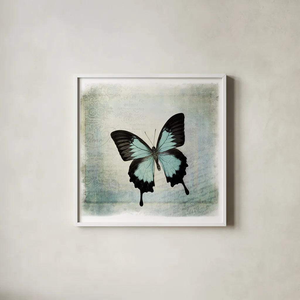 Floating Butterfly III by Debra Van Swearingen. Shown in a crisp white glass frame for a clean and minimalist style. Available as an archival giclee rolled canvas, fine art paper, or poster print. SKU 25792a.