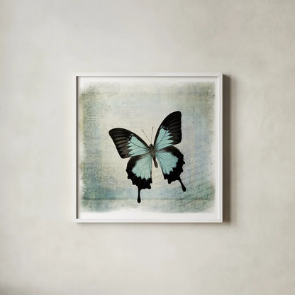 Floating Butterfly III by Debra Van Swearingen. Shown in a crisp white glass frame for a clean and minimalist style. Available as an archival giclee rolled canvas, fine art paper, or poster print. SKU 25792a.