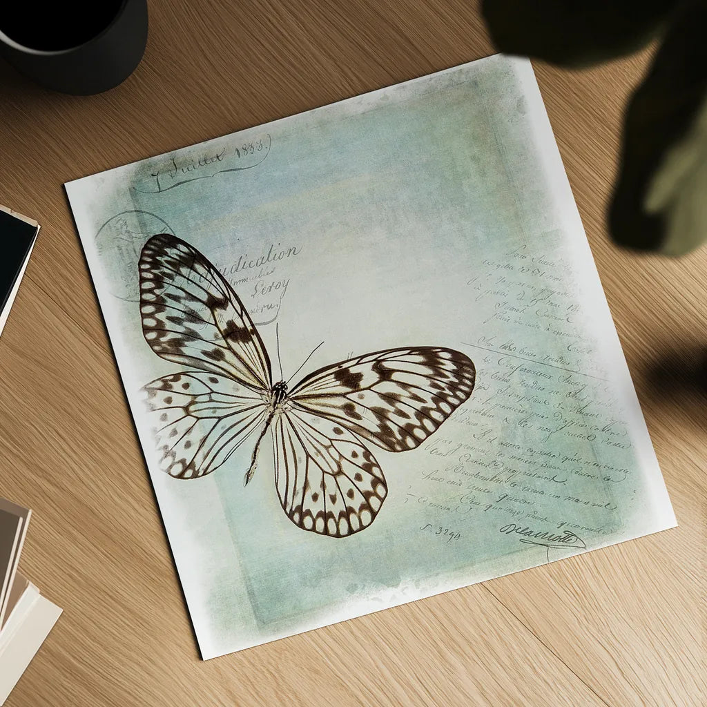 Floating Butterfly IV by Debra Van Swearingen. Shown as a detailed flat fine art print, highlighting archival giclee quality. Available as an archival giclee rolled canvas, fine art paper, or poster print. SKU 25793a.