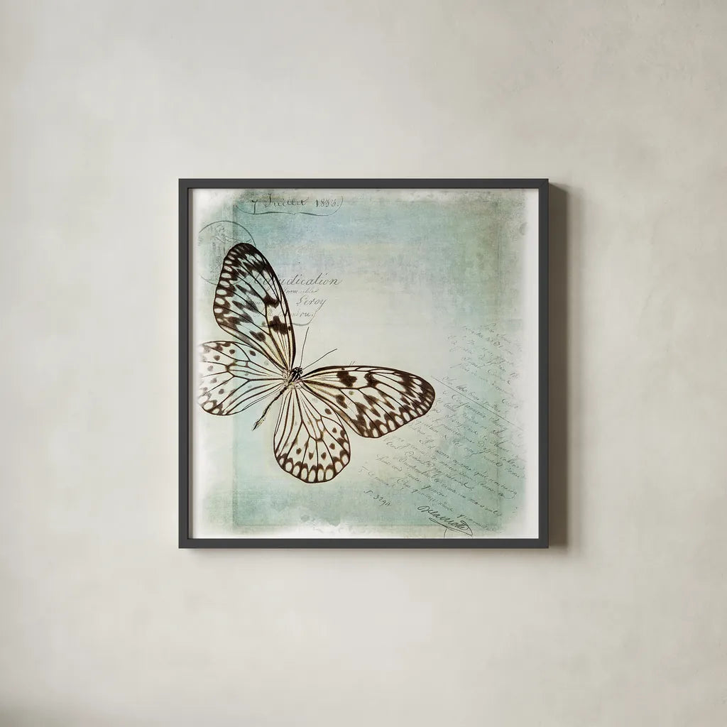 Floating Butterfly IV by Debra Van Swearingen. Shown in a sleek black glass frame for a contemporary gallery look. Available as an archival giclee rolled canvas, fine art paper, or poster print. SKU 25793a.