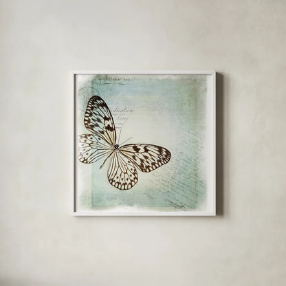 Floating Butterfly IV by Debra Van Swearingen. Shown in a crisp white glass frame for a clean and minimalist style. Available as an archival giclee rolled canvas, fine art paper, or poster print. SKU 25793a.