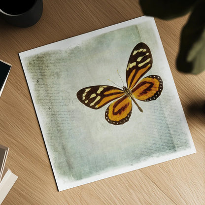 Floating Butterfly VI by Debra Van Swearingen. Shown as a detailed flat fine art print, highlighting archival giclee quality. Available as an archival giclee rolled canvas, fine art paper, or poster print. SKU 25795a.