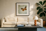 Floating Butterfly VI by Debra Van Swearingen. Displayed in a glass frame with matte in a clean modern living room. Available as an archival giclee rolled canvas, fine art paper, or poster print. SKU 25795a.