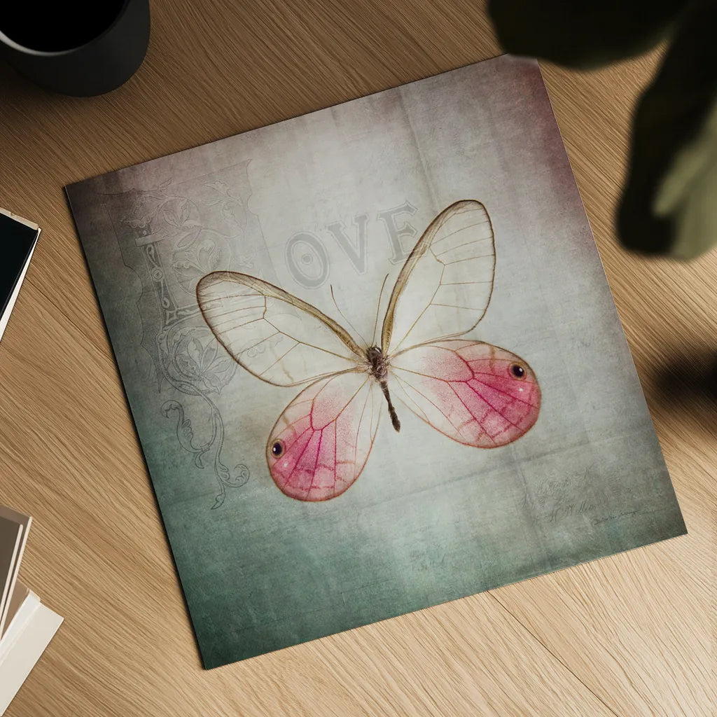 French Butterfly I by Debra Van Swearingen. Shown as a detailed flat fine art print, highlighting archival giclee quality. Available as an archival giclee rolled canvas, fine art paper, or poster print. SKU 25769a.
