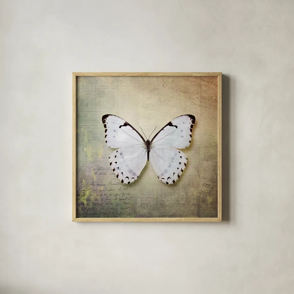 French Butterfly II by Debra Van Swearingen. Shown in a natural wood glass frame for a timeless modern aesthetic. Available as an archival giclee rolled canvas, fine art paper, or poster print. SKU 25770a.