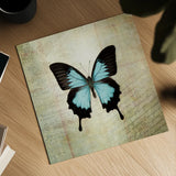 French Butterfly III by Debra Van Swearingen. Shown as a detailed flat fine art print, highlighting archival giclee quality. Available as an archival giclee rolled canvas, fine art paper, or poster print. SKU 25771a.