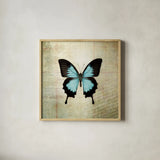 French Butterfly III by Debra Van Swearingen. Shown in a natural wood glass frame for a timeless modern aesthetic. Available as an archival giclee rolled canvas, fine art paper, or poster print. SKU 25771a.