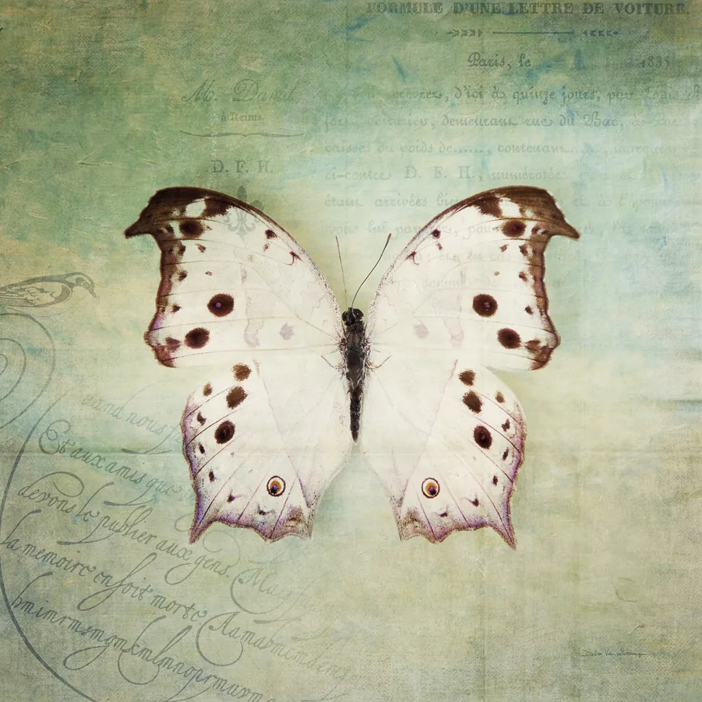 French Butterfly IV by Debra Van Swearingen. SKU 25772a. Archival Giclee Fine art print for wall decor.