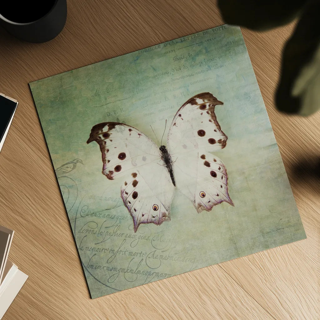 French Butterfly IV by Debra Van Swearingen. Shown as a detailed flat fine art print, highlighting archival giclee quality. Available as an archival giclee rolled canvas, fine art paper, or poster print. SKU 25772a.