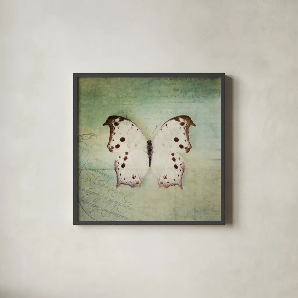 French Butterfly IV by Debra Van Swearingen. Shown in a sleek black glass frame for a contemporary gallery look. Available as an archival giclee rolled canvas, fine art paper, or poster print. SKU 25772a.