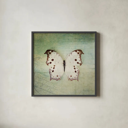 French Butterfly IV by Debra Van Swearingen. Shown in a sleek black glass frame for a contemporary gallery look. Available as an archival giclee rolled canvas, fine art paper, or poster print. SKU 25772a.