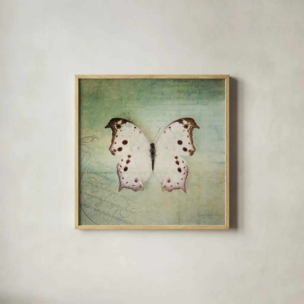 French Butterfly IV by Debra Van Swearingen. Shown in a natural wood glass frame for a timeless modern aesthetic. Available as an archival giclee rolled canvas, fine art paper, or poster print. SKU 25772a.