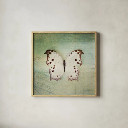 French Butterfly IV by Debra Van Swearingen. Shown in a natural wood glass frame for a timeless modern aesthetic. Available as an archival giclee rolled canvas, fine art paper, or poster print. SKU 25772a.
