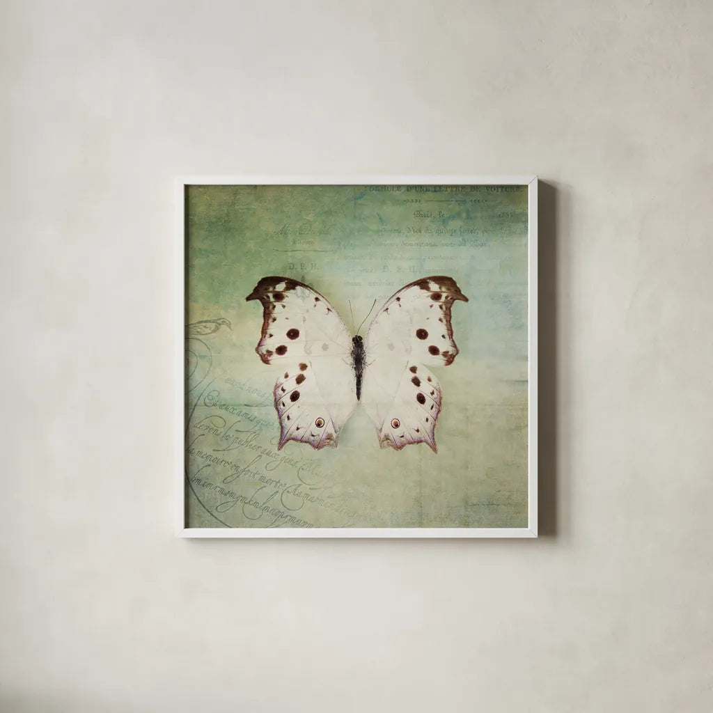 French Butterfly IV by Debra Van Swearingen. Shown in a crisp white glass frame for a clean and minimalist style. Available as an archival giclee rolled canvas, fine art paper, or poster print. SKU 25772a.
