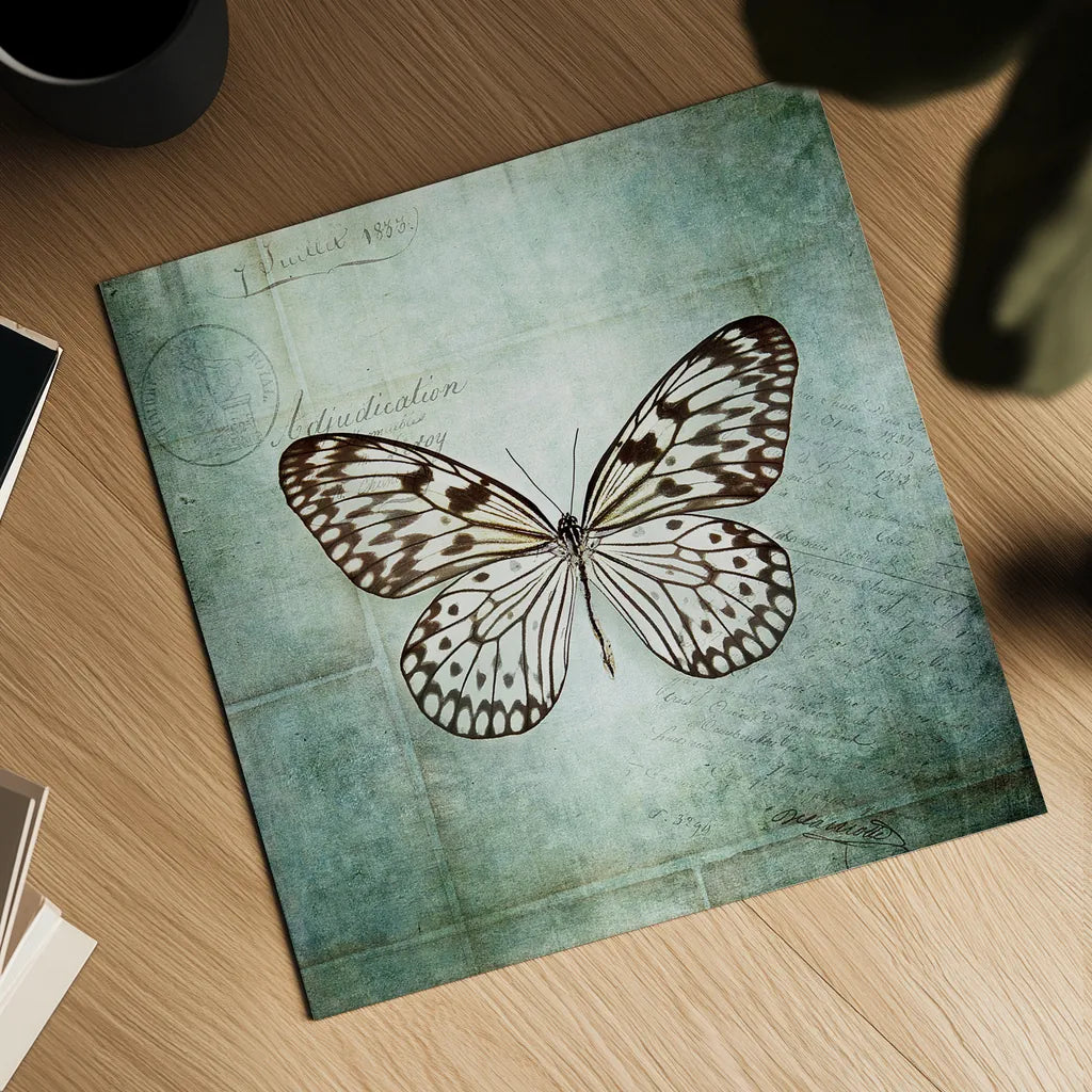French Butterfly V by Debra Van Swearingen. Shown as a detailed flat fine art print, highlighting archival giclee quality. Available as an archival giclee rolled canvas, fine art paper, or poster print. SKU 25773a.