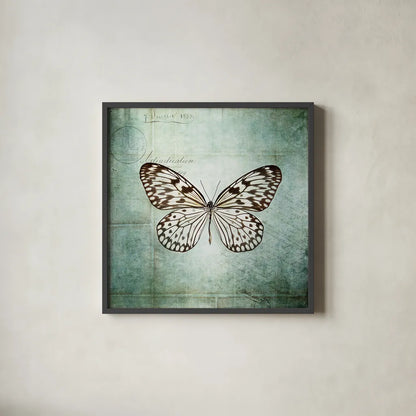 French Butterfly V by Debra Van Swearingen. Shown in a sleek black glass frame for a contemporary gallery look. Available as an archival giclee rolled canvas, fine art paper, or poster print. SKU 25773a.