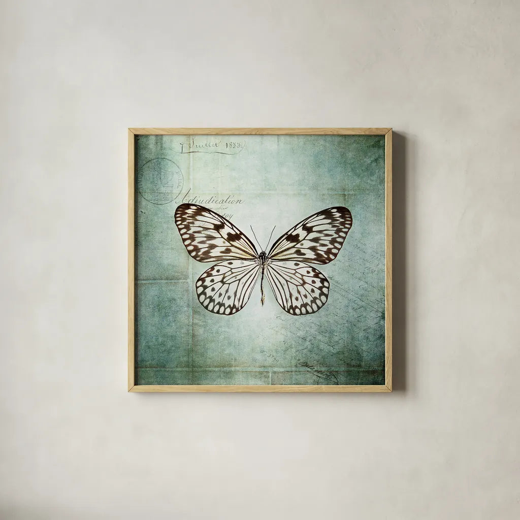 French Butterfly V by Debra Van Swearingen. Shown in a natural wood glass frame for a timeless modern aesthetic. Available as an archival giclee rolled canvas, fine art paper, or poster print. SKU 25773a.
