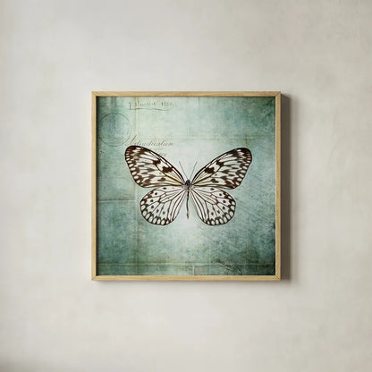French Butterfly V by Debra Van Swearingen. Shown in a natural wood glass frame for a timeless modern aesthetic. Available as an archival giclee rolled canvas, fine art paper, or poster print. SKU 25773a.