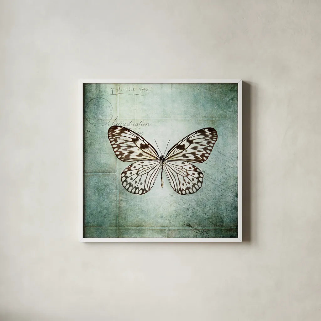 French Butterfly V by Debra Van Swearingen. Shown in a crisp white glass frame for a clean and minimalist style. Available as an archival giclee rolled canvas, fine art paper, or poster print. SKU 25773a.