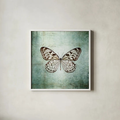 French Butterfly V by Debra Van Swearingen. Shown in a crisp white glass frame for a clean and minimalist style. Available as an archival giclee rolled canvas, fine art paper, or poster print. SKU 25773a.