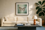 French Butterfly V by Debra Van Swearingen. Displayed in a glass frame with matte in a clean modern living room. Available as an archival giclee rolled canvas, fine art paper, or poster print. SKU 25773a.