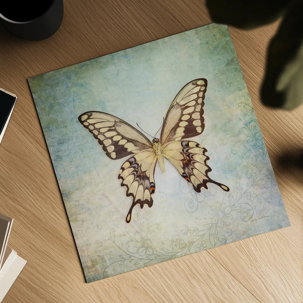 French Butterfly VI by Debra Van Swearingen. Shown as a detailed flat fine art print, highlighting archival giclee quality. Available as an archival giclee rolled canvas, fine art paper, or poster print. SKU 25774a.
