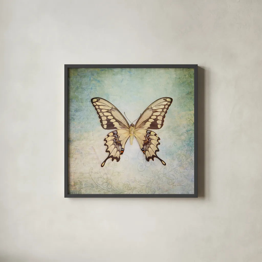 French Butterfly VI by Debra Van Swearingen. Shown in a sleek black glass frame for a contemporary gallery look. Available as an archival giclee rolled canvas, fine art paper, or poster print. SKU 25774a.