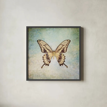French Butterfly VI by Debra Van Swearingen. Shown in a sleek black glass frame for a contemporary gallery look. Available as an archival giclee rolled canvas, fine art paper, or poster print. SKU 25774a.