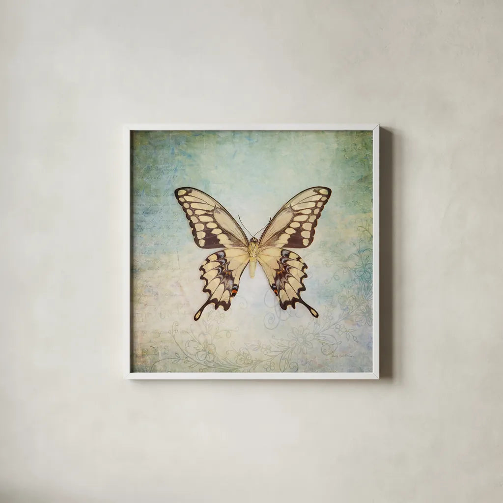 French Butterfly VI by Debra Van Swearingen. Shown in a crisp white glass frame for a clean and minimalist style. Available as an archival giclee rolled canvas, fine art paper, or poster print. SKU 25774a.