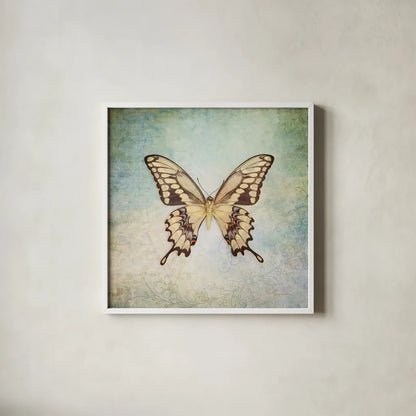 French Butterfly VI by Debra Van Swearingen. Shown in a crisp white glass frame for a clean and minimalist style. Available as an archival giclee rolled canvas, fine art paper, or poster print. SKU 25774a.
