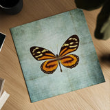 French Butterfly VIII by Debra Van Swearingen. Shown as a detailed flat fine art print, highlighting archival giclee quality. Available as an archival giclee rolled canvas, fine art paper, or poster print. SKU 25776a.