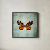 French Butterfly VIII by Debra Van Swearingen. Shown in a sleek black glass frame for a contemporary gallery look. Available as an archival giclee rolled canvas, fine art paper, or poster print. SKU 25776a.
