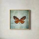French Butterfly VIII by Debra Van Swearingen. Shown in a natural wood glass frame for a timeless modern aesthetic. Available as an archival giclee rolled canvas, fine art paper, or poster print. SKU 25776a.