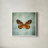French Butterfly VIII by Debra Van Swearingen. Shown in a crisp white glass frame for a clean and minimalist style. Available as an archival giclee rolled canvas, fine art paper, or poster print. SKU 25776a.