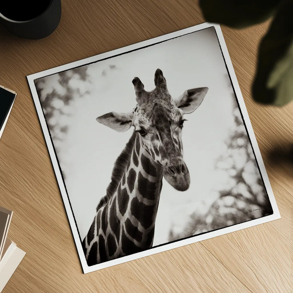 Giraffe I by Debra Van Swearingen. Shown as a detailed flat fine art print, highlighting archival giclee quality. Available as an archival giclee rolled canvas, fine art paper, or poster print. SKU 17949a.